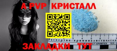 стаф Кинель